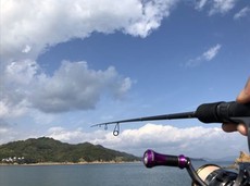 今頃初!?広島エギングにGO‼(^_-)-☆。。。 2019/10/27 21:33:12