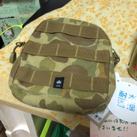 LOGOSのヒップカーゴの中に…。 2015/06/23 07:10:00