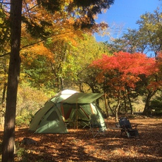 The 秋キャンプ(^_^)v！ 2016/11/12 12:53:55