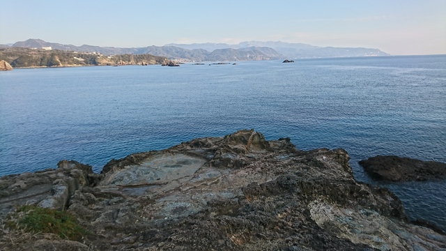 めーさんの釣り日誌 伊豆半島 釣り場巡り