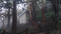 屋久島2014②