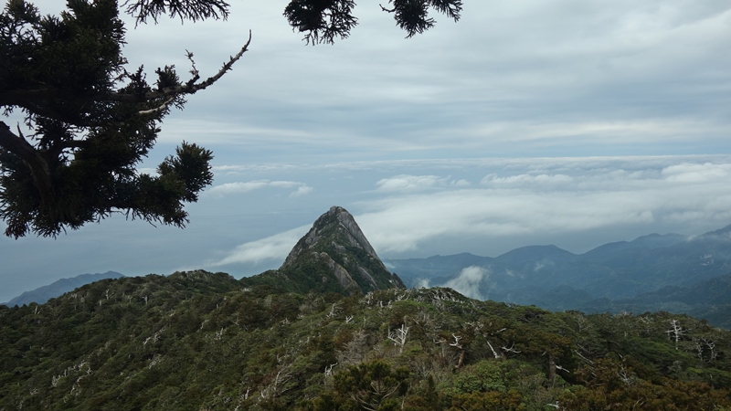 屋久島2019③
