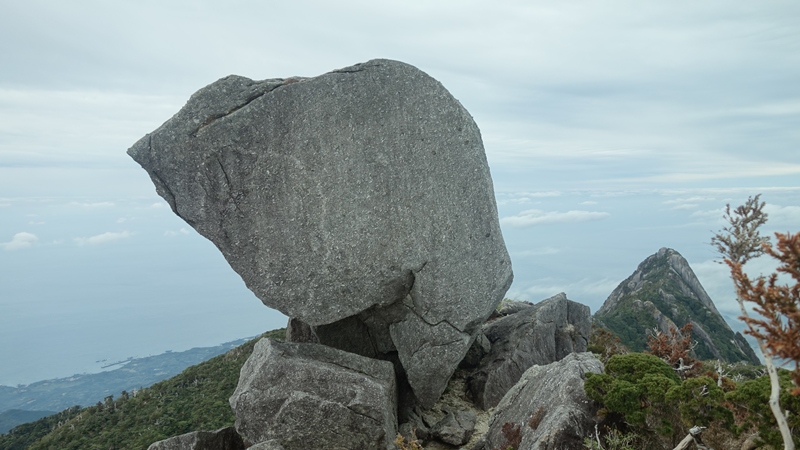 屋久島2019③