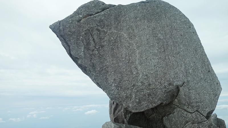 屋久島2019③