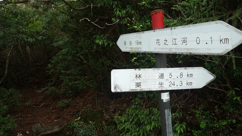 屋久島2019③