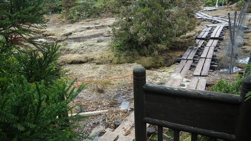 屋久島2019③