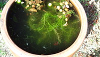 春の陽気に誘われて