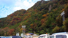 紅葉