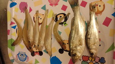 投げ釣り