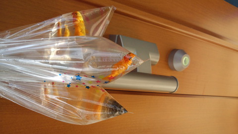 金魚すくい