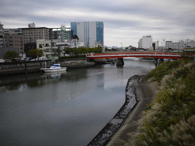 10月前半の釣り