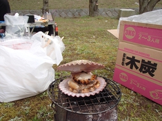 桜と海と、潮風と