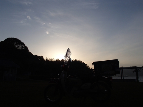 桜と海と、潮風と