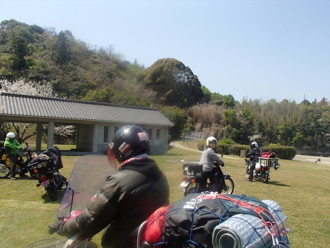 桜と海と、潮風と