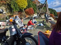 素晴らしきラーツーかな