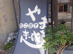 桜と海と、潮風と