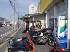 桜と海と、潮風と