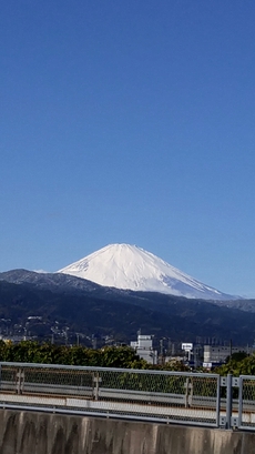 西伊豆　夕日ヶ丘キャンプ場　11月25～26日 2016/11/26 18:16:33