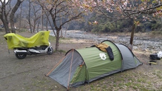 青野原オートキャンプ場　3月31日～4月1日　河津桜お花見キャンプ 2017/04/02 19:54:03