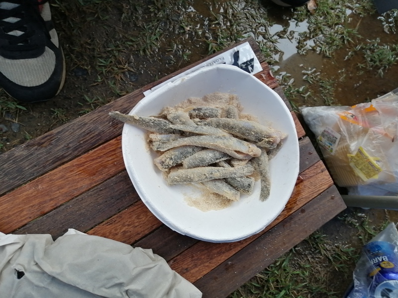 涸沼でハゼ釣り＆北浦でバス釣り