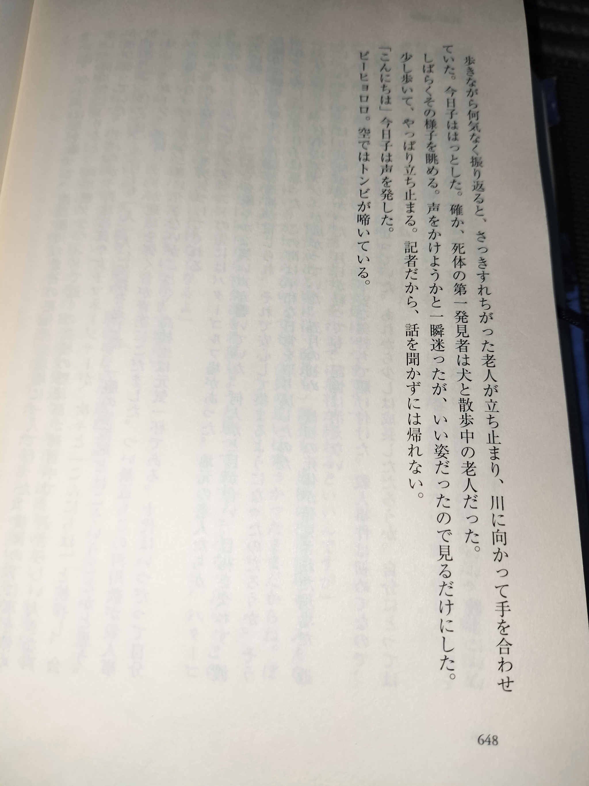 車中泊三昧〜な霞ヶ浦のバス〜