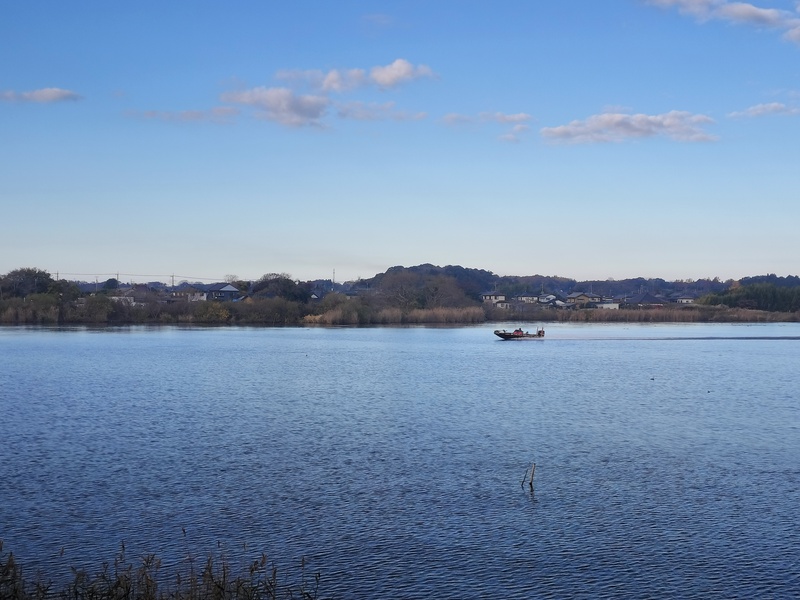 全然釣りしてない〜の霞ヶ浦のバス