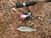 管釣り練習