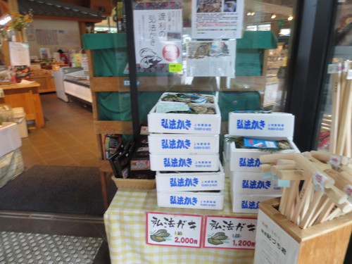 キャンプinn海山　②寄り道