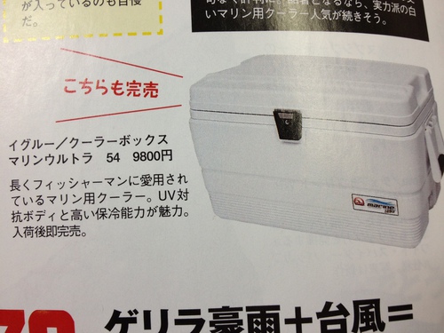 ついに買いました①クーラーBOX