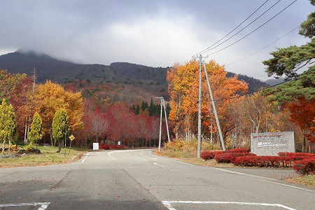 結局乾燥は・・・そして紅葉を！