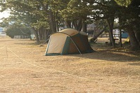 潮岬望楼の芝キャンプ場の朝