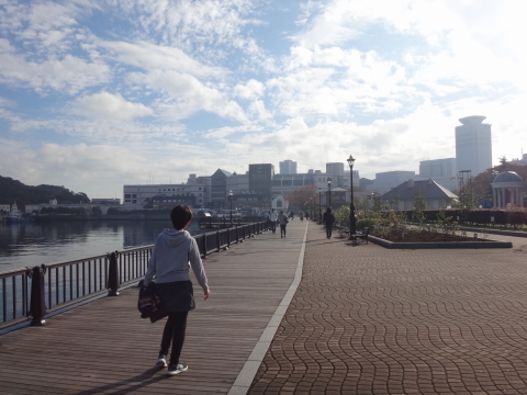 秋の一日　夫婦で横須賀散歩