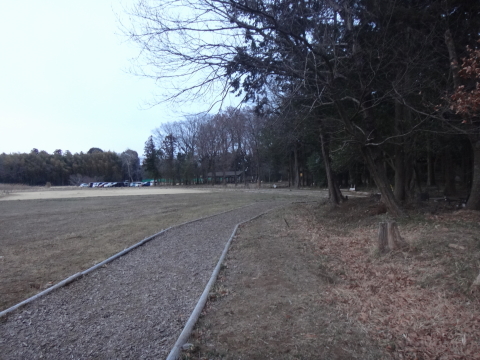 いつもの森でバイクソロキャン