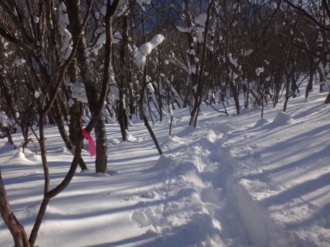 赤城山で雪山ビヴァーク