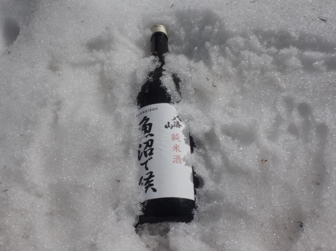 山菜狩りキャンプ