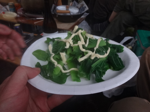 山菜狩りキャンプ