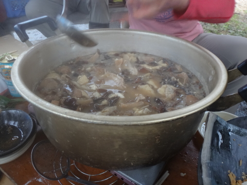 山菜狩りキャンプ