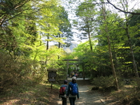 金時山登山　芦ノ湖キャンプ村＆フォレストアドベンチャー箱根