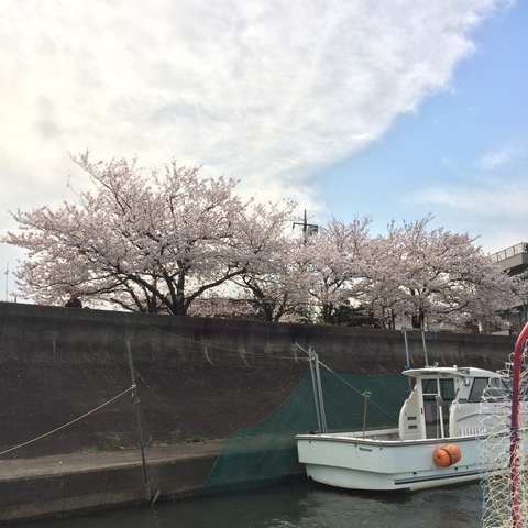 東京湾タイラバ また惨敗( ；´Д｀)