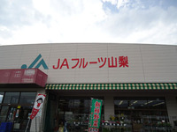 久しぶりの山梨は・・・