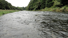 那珂川釣行