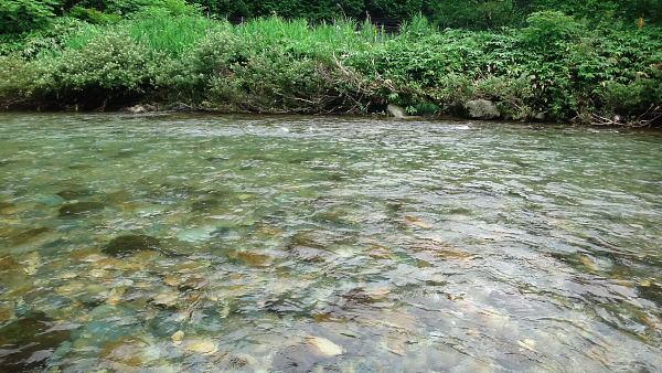 馬瀬川釣行（２）