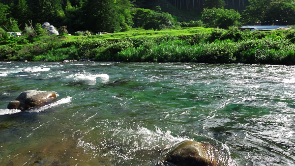 馬瀬川釣行（２）