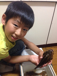 釣り（新岡山港） 2014/06/18 22:19:00
