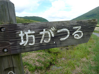 帰ってきたよ～