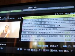 ここで夏を見送る
