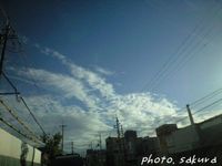 もうすぐ卒園。。