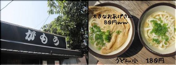 がもううどん。