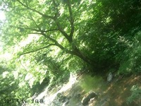 大佐山。。2日目