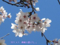 友達親子と遠足♪
